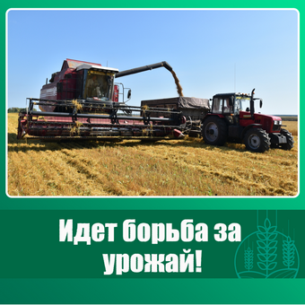 Более 30% площадей убрали аграрии Троицкого района. Более 30% площадей убрали аграрии Троицкого района.